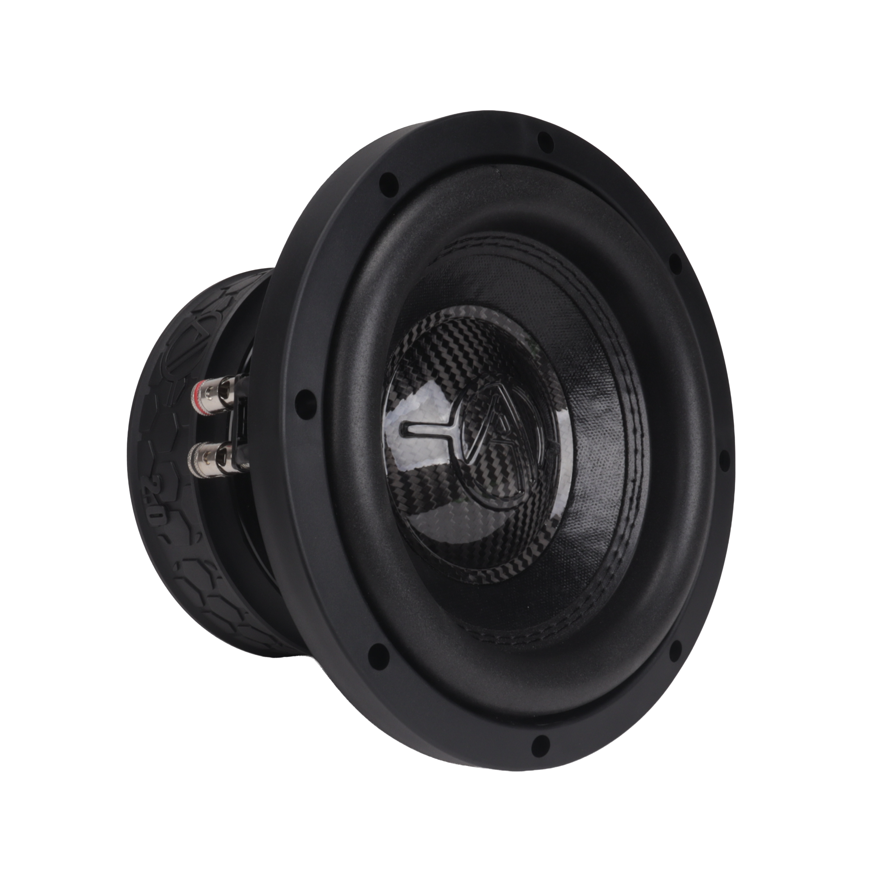 Ampere Audio AA-2.0 Series 1000W Car Subwoofer