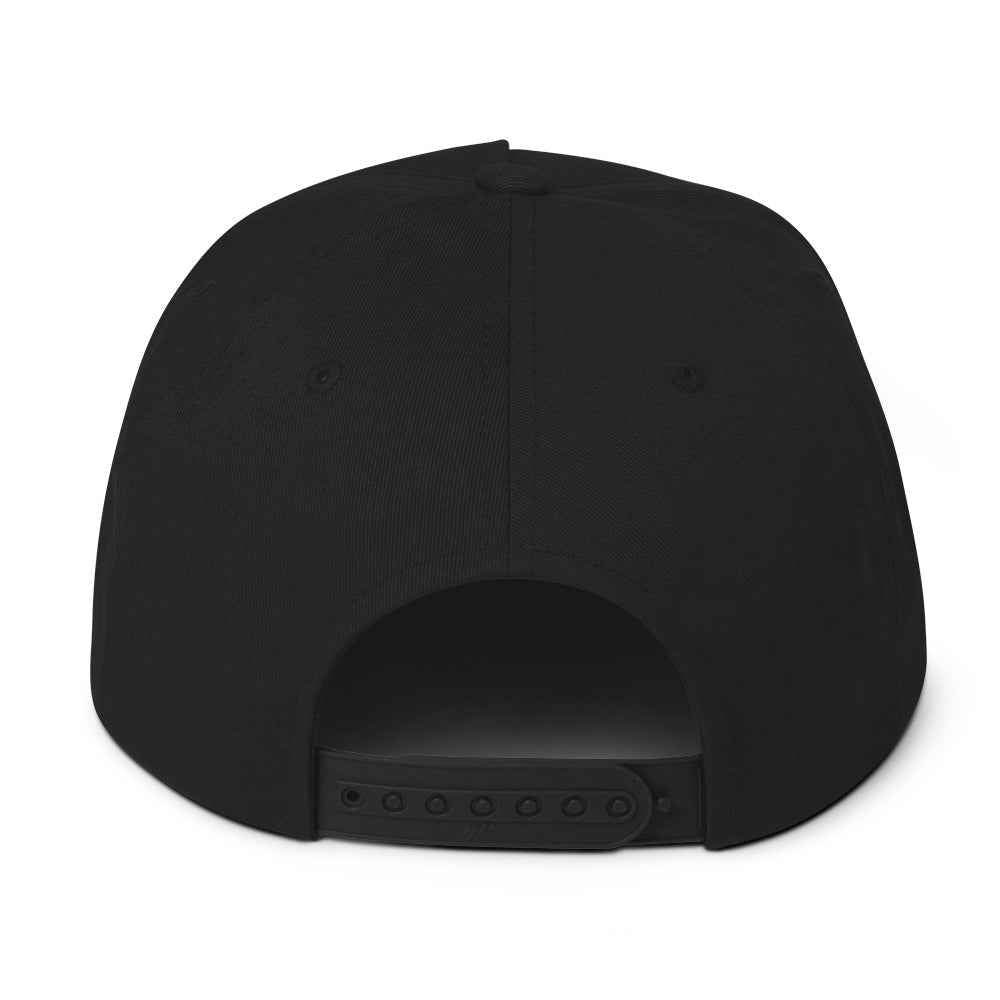 Ampere Audio Snapback Flat Bill