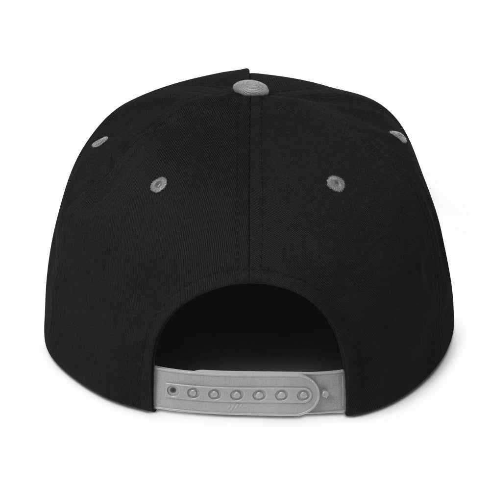 Ampere Audio Snapback Flat Bill