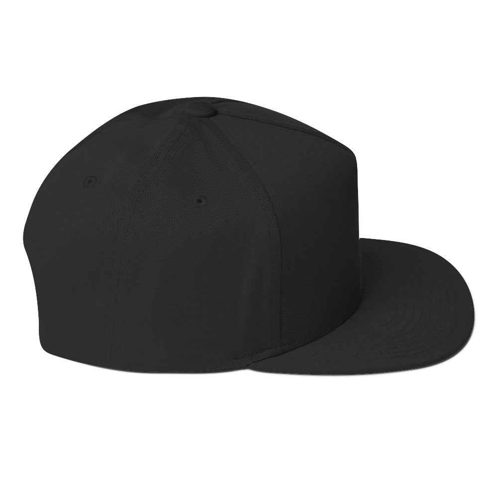 Ampere Audio Snapback Flat Bill